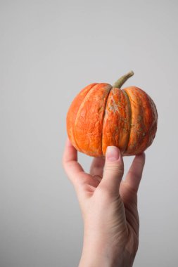 Beyaz arka planda kadın ellerinde balkabağı. Cadılar Bayramı ve Şükran Günü. Sonbahar konsepti. Sonbahar arkaplanı. Sonbahar sezonu.