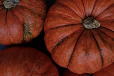 Turuncu balkabakları yakın plan, üst görüş, seçici odaklanma. Şablon güz hasadı Şükran Günü Cadılar Bayramı davetiye kartları. Koyu arkaplan, karanlık işlemde fotoğraf