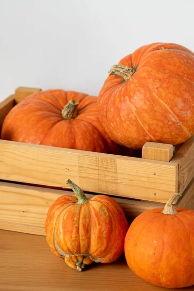 Pomarańczowe Dynie Drewnianym Pudełku Drewnianym Stole Białym Tle Halloween Święto — Zdjęcie stockowe