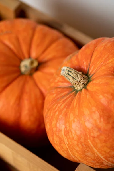 Orange Pumpor Trälåda Ett Träbord Vit Bakgrund Halloween Thanksgiving Skörd — Stockfoto