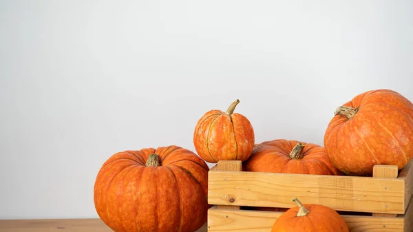 Orange Pumpor Trälåda Ett Träbord Vit Bakgrund Halloween Thanksgiving Skörd — Stockfoto