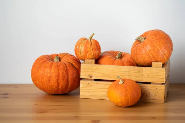 Orange Pumpor Trälåda Ett Träbord Vit Bakgrund Halloween Thanksgiving Skörd — Stockfoto