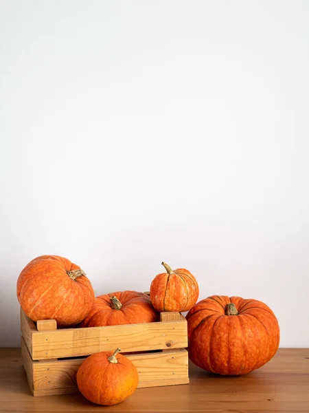 Orange Pumpor Trälåda Ett Träbord Vit Bakgrund Halloween Thanksgiving Skörd — Stockfoto