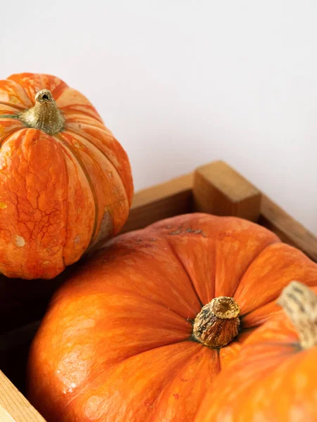 Orange Pumpor Trälåda Ett Träbord Vit Bakgrund Halloween Thanksgiving Skörd — Stockfoto
