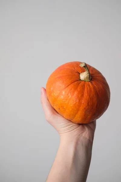 Kürbis Frauenhand Auf Weißem Hintergrund Halloween Und Thanksgiving Herbstkonzept Herbst — Stockfoto