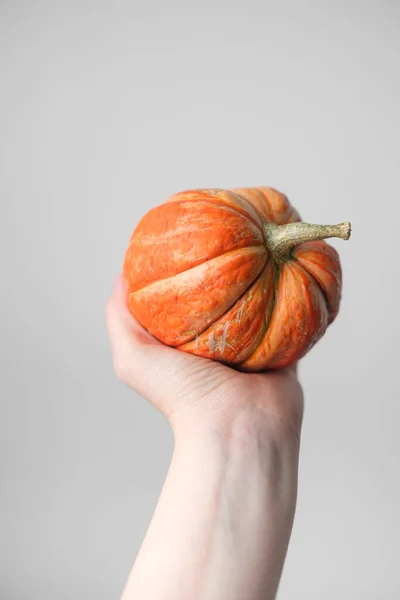 Pumpa Kvinnliga Händer Vit Bakgrund Halloween Och Thanksgiving Höstkoncept Höstens — Stockfoto