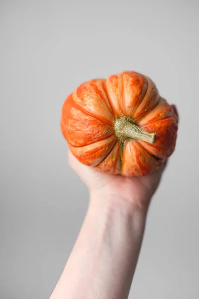 Calabaza Manos Femeninas Sobre Fondo Blanco Halloween Acción Gracias Concepto —  Fotos de Stock