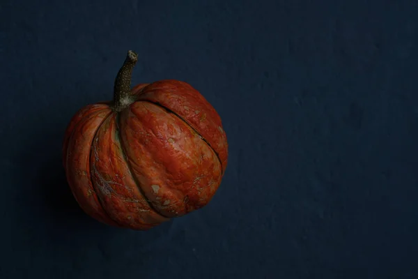 Calabazas Naranjas Sobre Fondo Azul Oscuro Plantilla Otoño Cosecha Acción — Foto de Stock