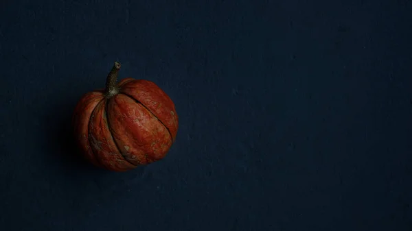 Calabazas Naranjas Sobre Fondo Azul Oscuro Plantilla Otoño Cosecha Acción — Foto de Stock