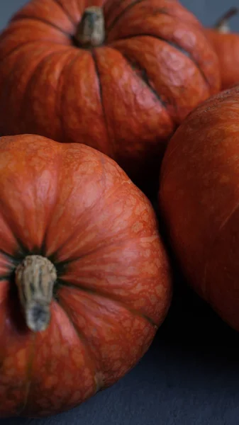 Pomarańczowe Dynie Bliska Widok Góry Selektywne Skupienie Szablon Jesień Żniwa — Zdjęcie stockowe