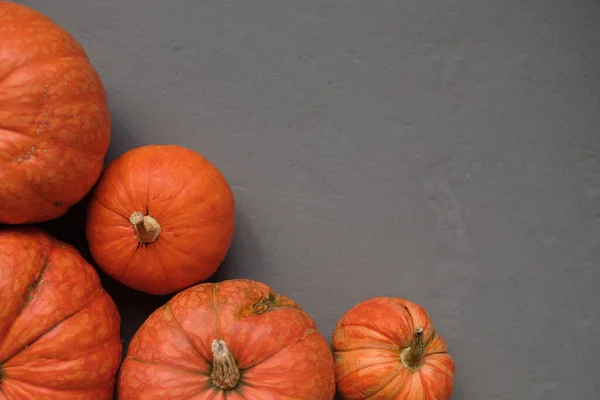 Orange Pumpor Trälåda Grå Bakgrund Ovanifrån Platt Låg Mall Höst — Stockfoto