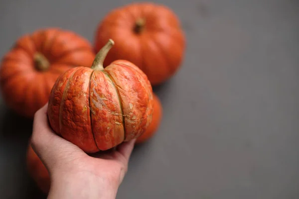 Calabaza Naranja Una Mano Femenina Sobre Fondo Gris Plantilla Otoño —  Fotos de Stock