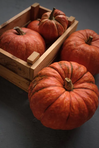 Orange Pumpor Trälåda Grå Bakgrund Mall Höst Skörd Tacksägelse Halloween — Stockfoto