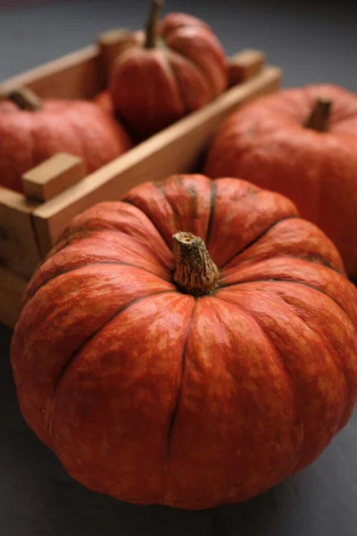 Zucche Arancioni Una Scatola Legno Uno Sfondo Grigio Template Autunno — Foto Stock