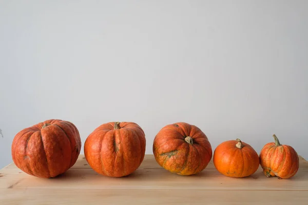 Halloween Święto Dziękczynienia Jesienna Koncepcja Pomarańczowy Dynia Różny Rozmiar Drewniany — Zdjęcie stockowe