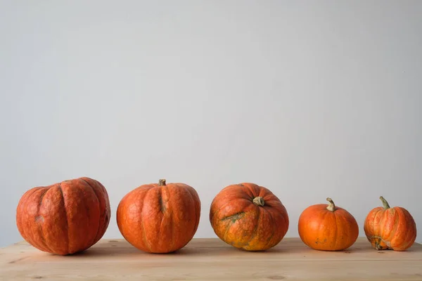 Halloween Och Thanksgiving Höstkoncept Orange Pumpor Olika Storlekar Ett Träbord — Stockfoto