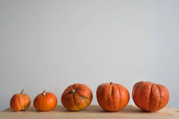 Halloween Ringraziamento Idea Autunnale Zucche Arancioni Dimensioni Diverse Tavolo Legno — Foto Stock