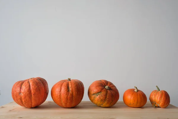 Halloween Święto Dziękczynienia Jesienna Koncepcja Pomarańczowy Dynia Różny Rozmiar Drewniany — Zdjęcie stockowe