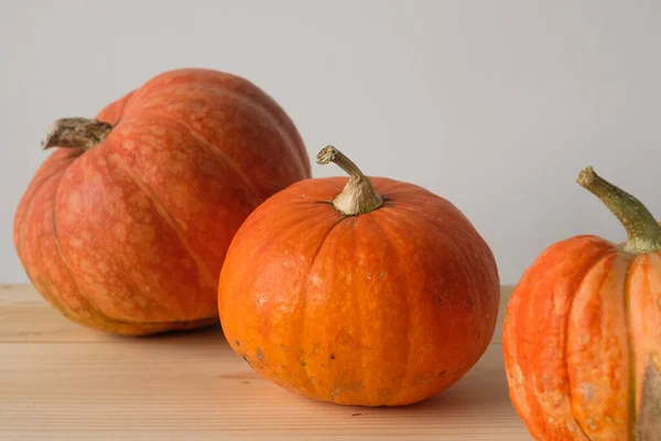 Halloween Och Thanksgiving Höstkoncept Orange Pumpor Olika Storlekar Ett Träbord — Stockfoto