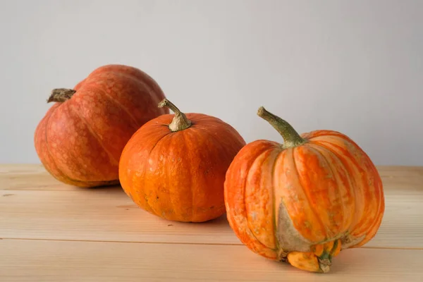 Halloween Ringraziamento Idea Autunnale Zucche Arancioni Dimensioni Diverse Tavolo Legno — Foto Stock