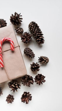 Noel kompozisyonu. Noel hediyesi olarak Noel Şeker Çubuğu, beyaz arka planda çam kozalakları. Üst görünüm, düz görünüm, kopyalama alanı. Çam kozalaklarının Noel kompozisyonu