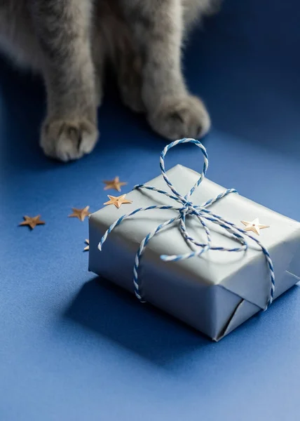 Feestelijke Achtergrond Een Geschenk Een Zilveren Doos Grijze Kattenpootjes Een — Stockfoto