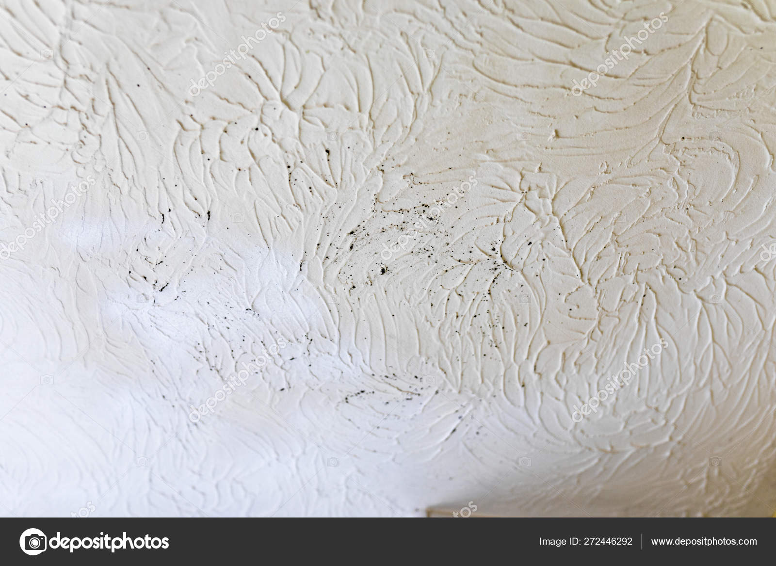 Mold On Ceiling In Bathroom Stock Photo C Wsgrafix Gmail