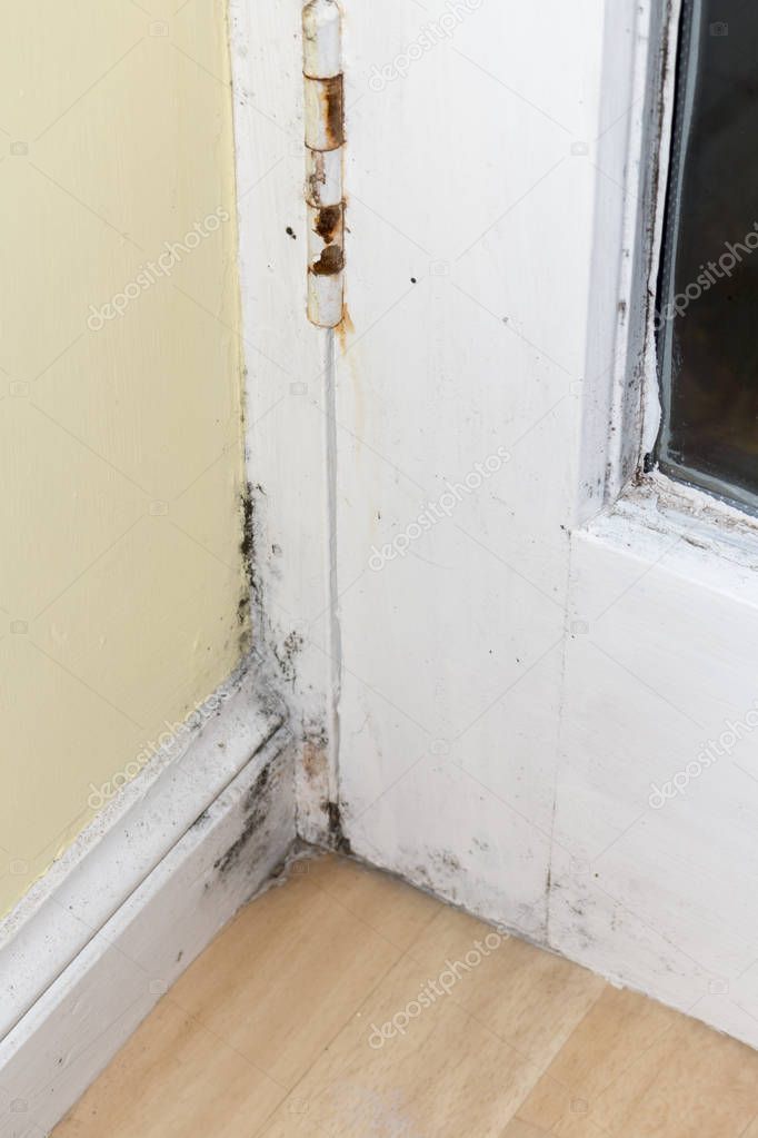 Black mould on wall  and the door in kitchen
