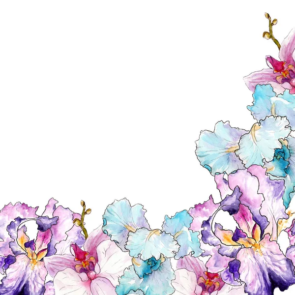 Aquarel tekening van irissen. logo sjabloon, frames — Stockfoto