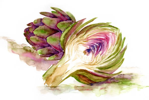 Akvarell festészet zöldség. articsóka, a teljes és a vágás — Stock Fotó