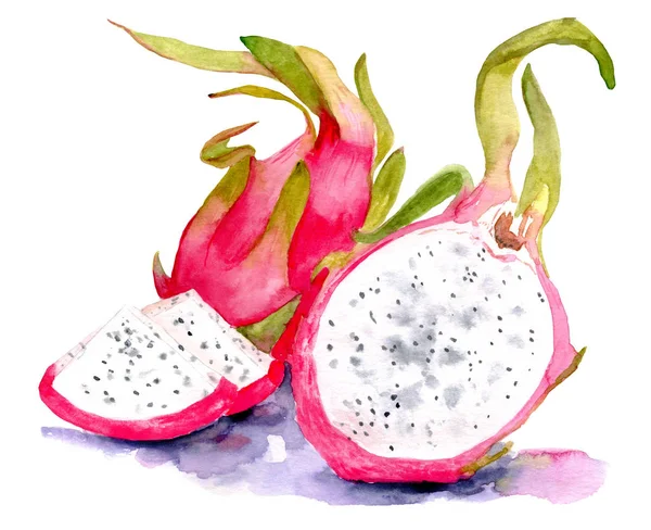 Acuarela pintura de frutas. fruta de dragón — Foto de Stock