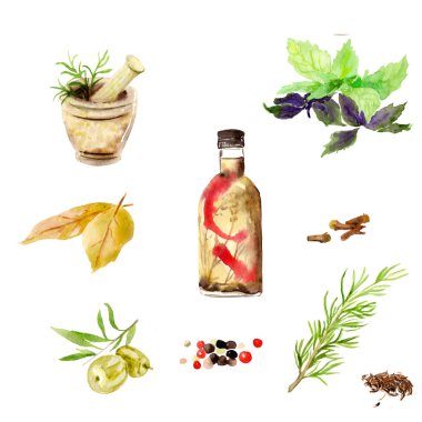 suluboya çizimler. zeytin, baharat seti.