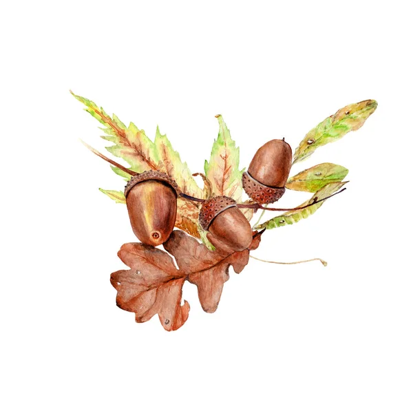 Aquarellzeichnungen Von Herbstblättern Und Früchten Komposition Rahmen — Stockfoto