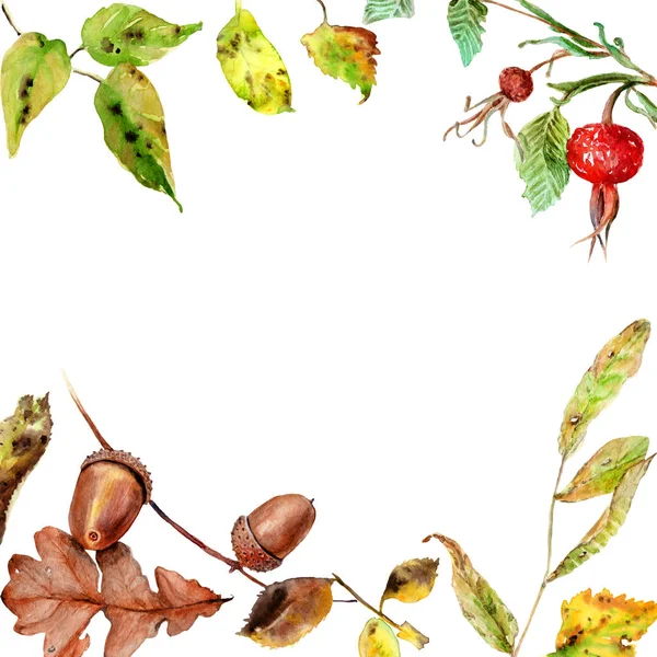 Akvarelu Výkresy Podzimní Listí Plody Složení Rám — Stock fotografie