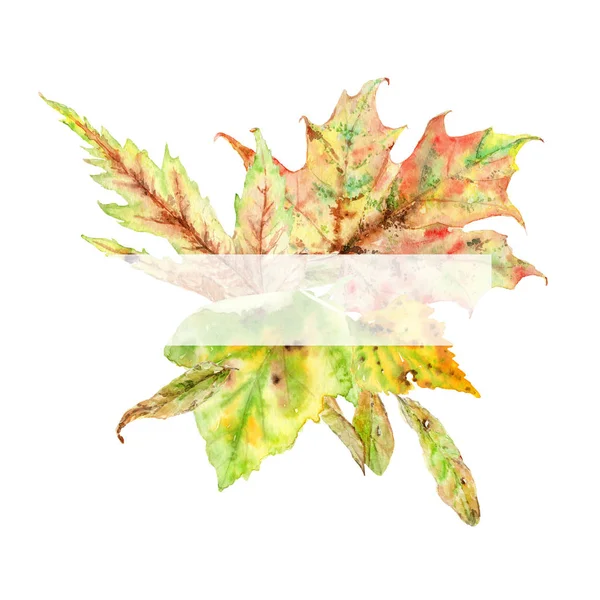 Akwarele Rysunki Jesiennych Liści Owoców Skład Ramki — Zdjęcie stockowe
