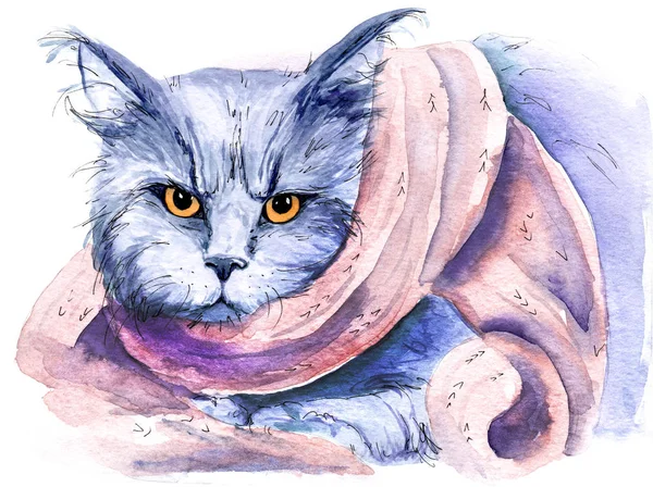 Aquarel Tekening Van Een Kat Een Sjaal Schets — Stockfoto