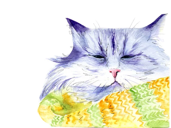 Aquarel Tekening Van Een Kat Een Sjaal Schets — Stockfoto