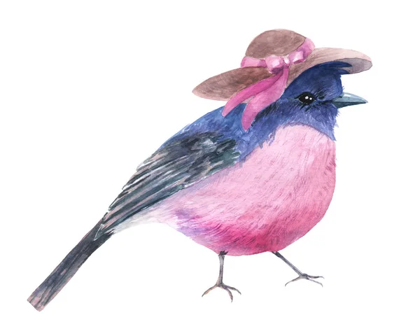 Watercolor Drawing Little Bird Illustration Sketch — Stock Photo, Image