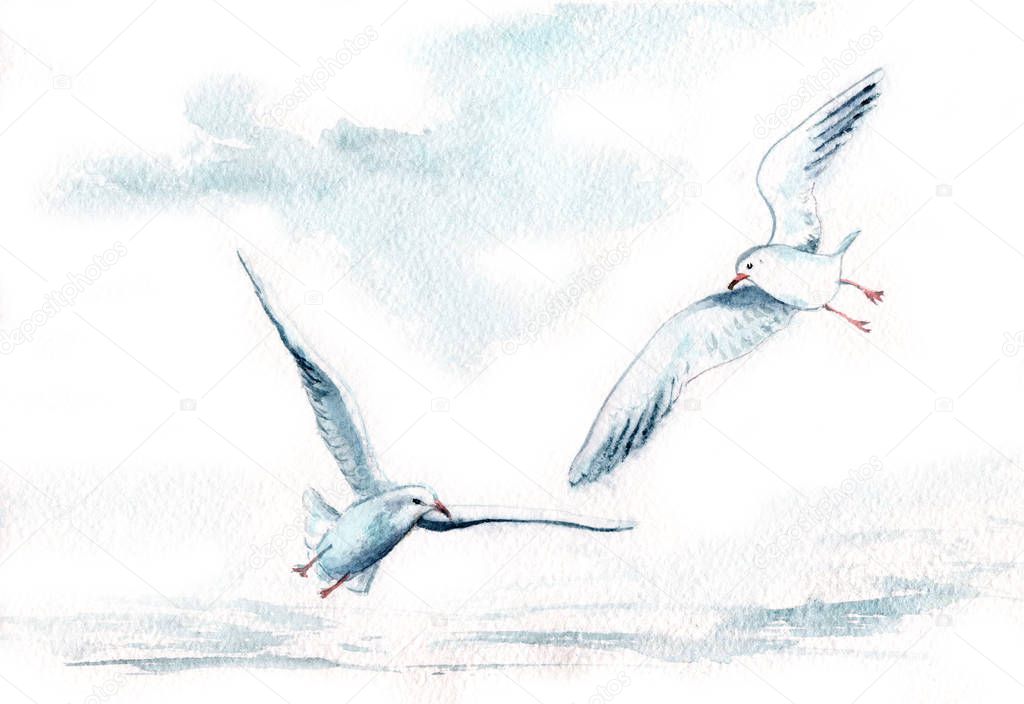 watercolor drawing of birds. seagulls in flight