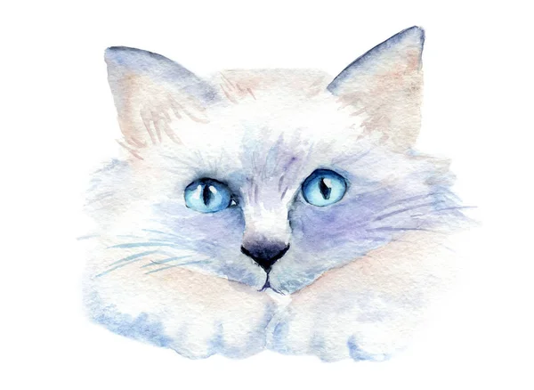 Desenho a aquarela de um gato com olhos brilhantes — Fotografia de Stock