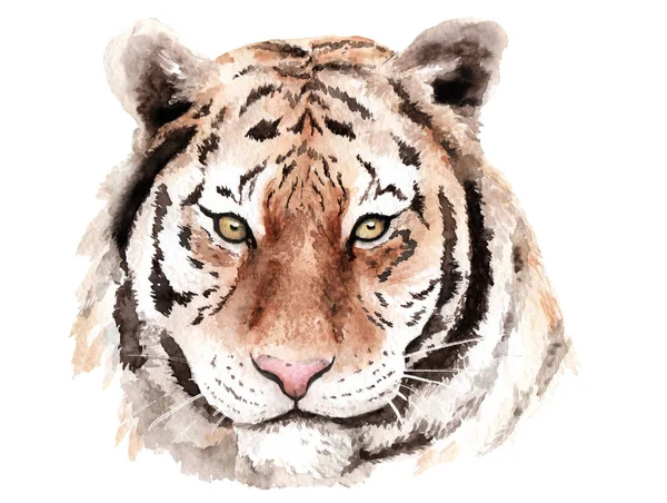 Aquarela desenho tigre, cabeça olhos castanhos — Fotografia de Stock