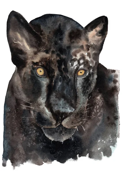 Ακουαρέλα, αντλώντας από ένα μαύρο jaguar, πάνθηρα, χρυσά μάτια — Φωτογραφία Αρχείου