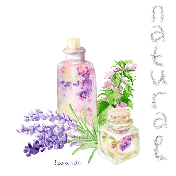 Watercolor drawings, compositions on the theme of natural cosmetics — Stock Photo, Image