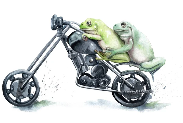 bir kurbağa bir motosiklet üzerinde çizim suluboya kucaklıyor