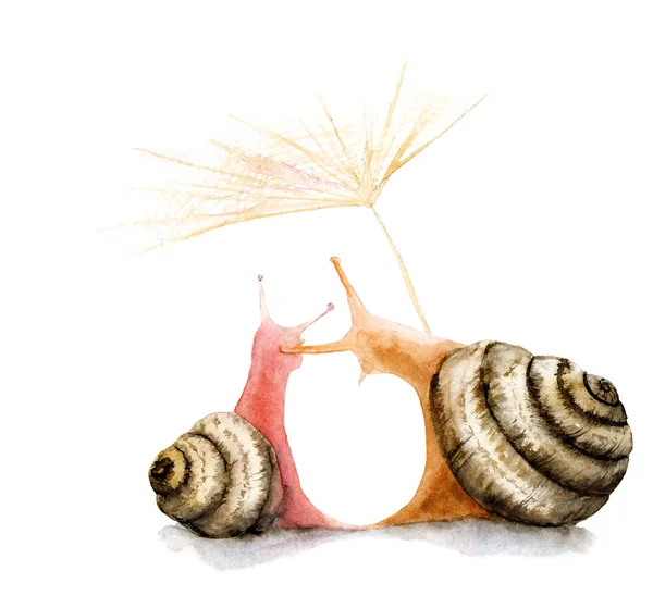 watercolor drawing two snails in love, hugs, kiss, sketch