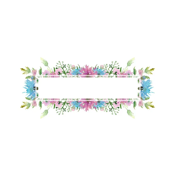 Aquarell Zeichnungsrahmen Von Feldpflanzen Blumen Und Gras Skizze — Stockfoto