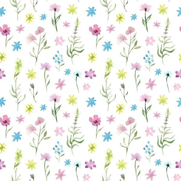 Aquarellzeichnung Nahtloses Muster Von Feldpflanzen Blumen Und Kräutern Skizze — Stockfoto