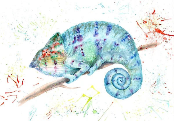 watercolor drawing of animal - colored chameleon with splashes background