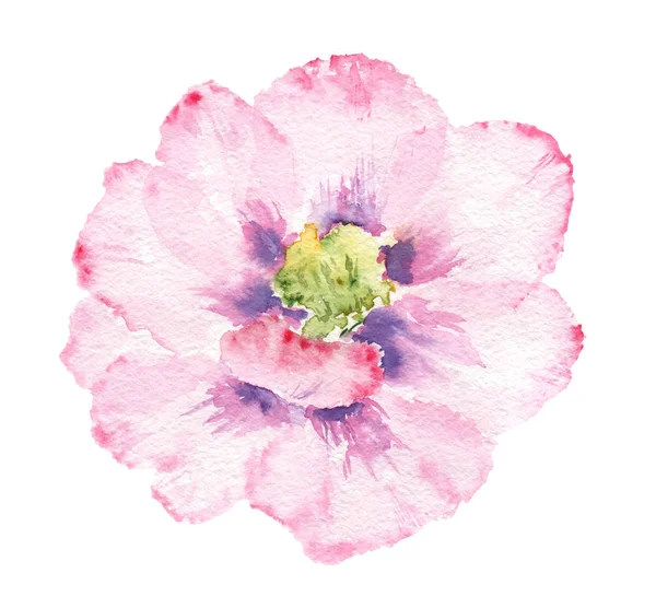 Akvarell teckningar - blommor för en semester, skiss, vykort — Stockfoto