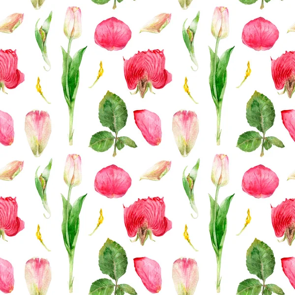 Dessin aquarelle fleurs dans une coupe, rose et tulipe, motif sans couture — Photo